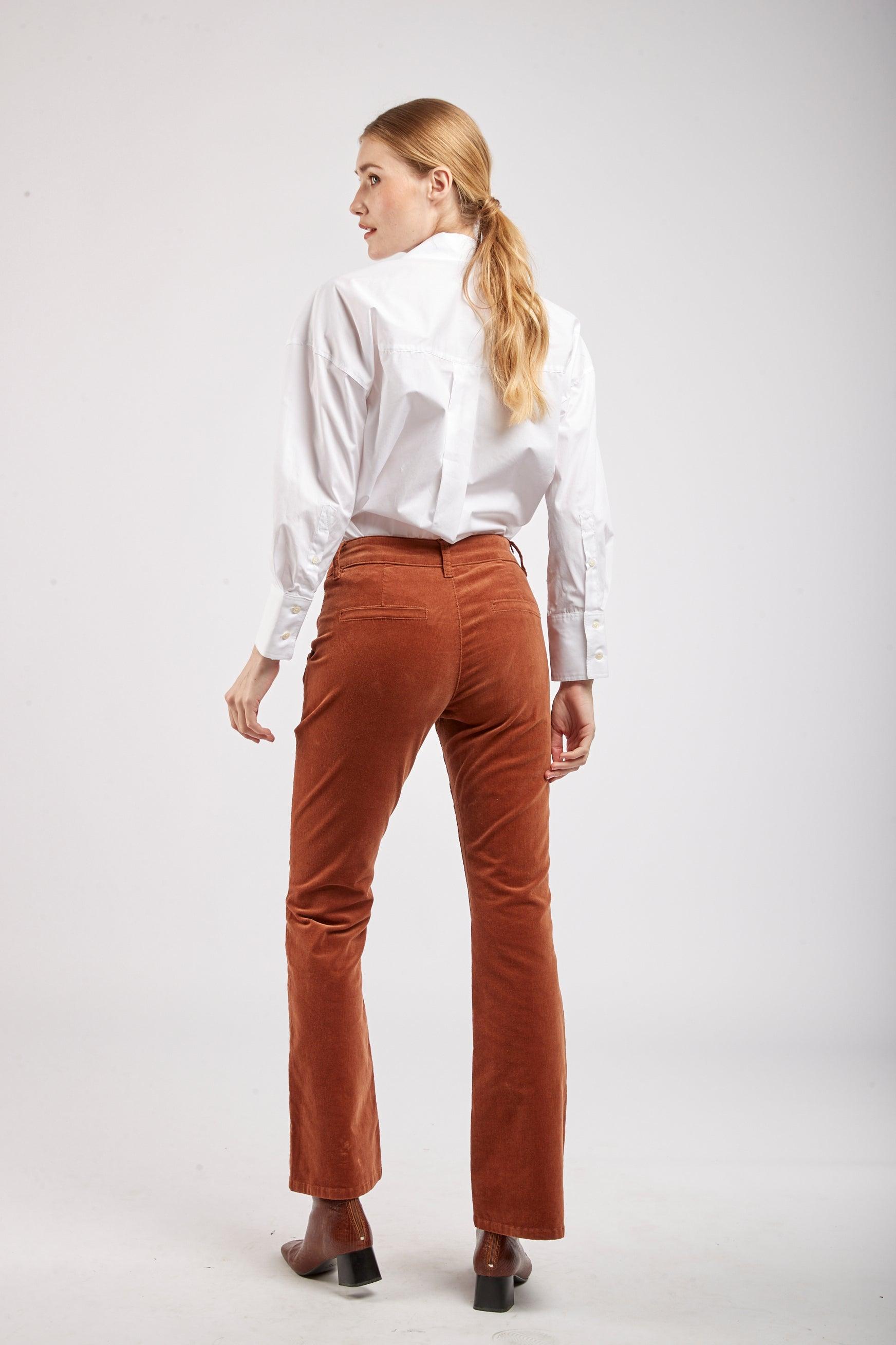 Flare velvet pants Detail Gold button - Edena – TOXIK3